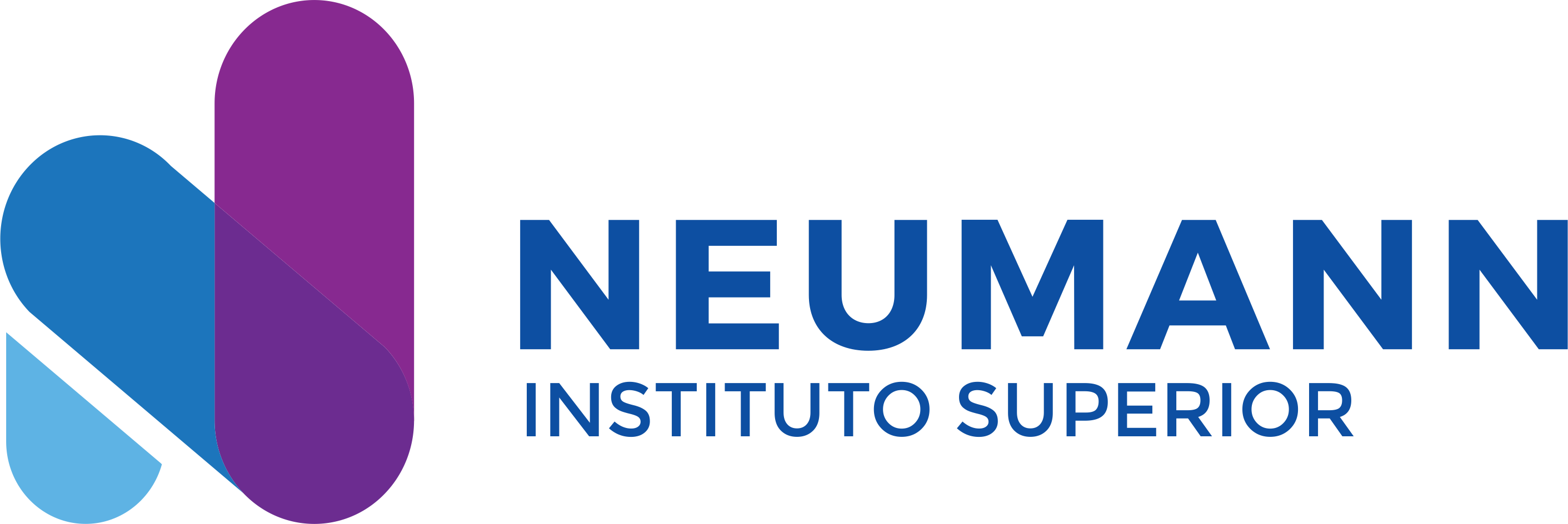 Instituto Neumann